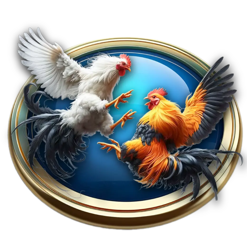 ไก่ชน