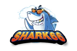  SHARK66 เว็บสล็อตฉลามใจใหญ่ แจกโบนัส100% เข้าเต็มทุกไม้